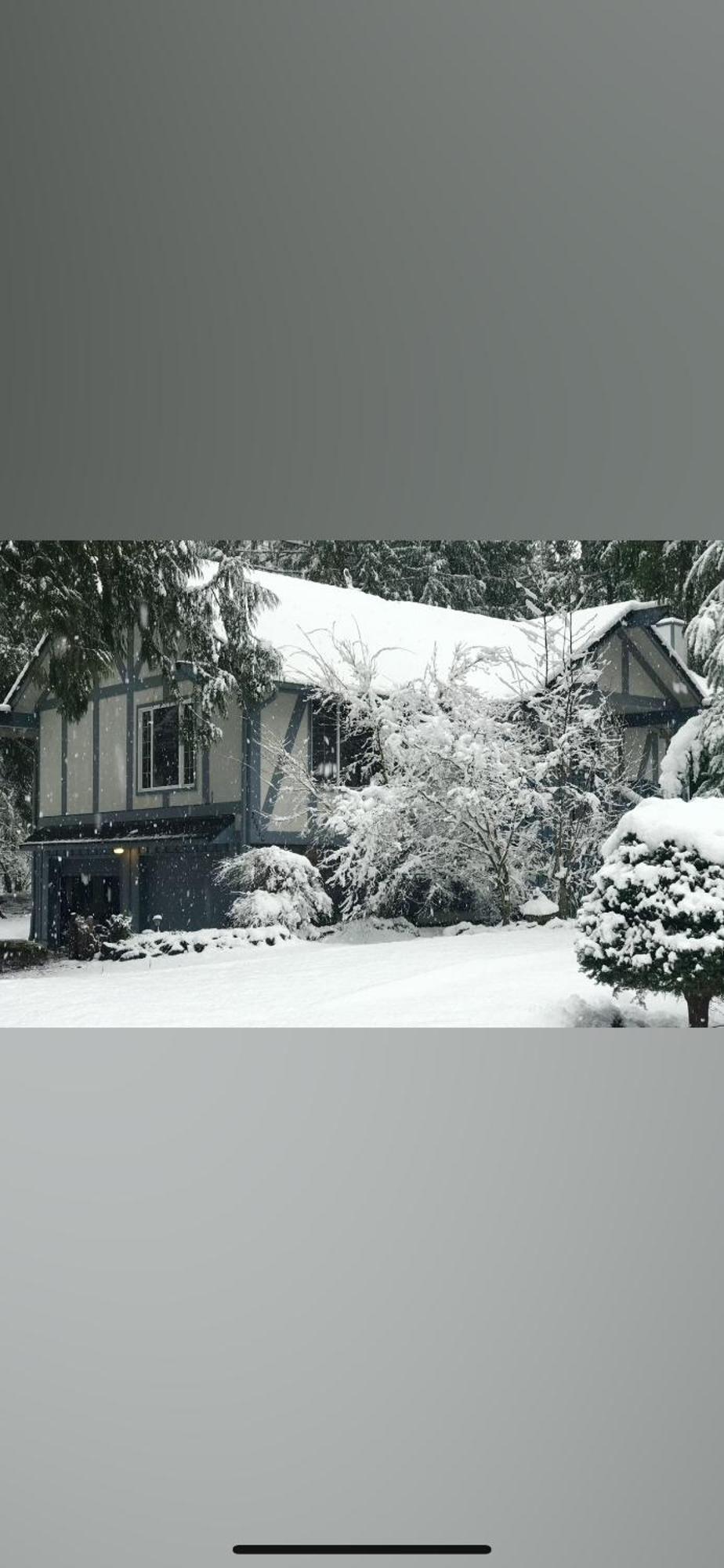 Cozy Bird House W Big Screen! Mount Hood Village Экстерьер фото